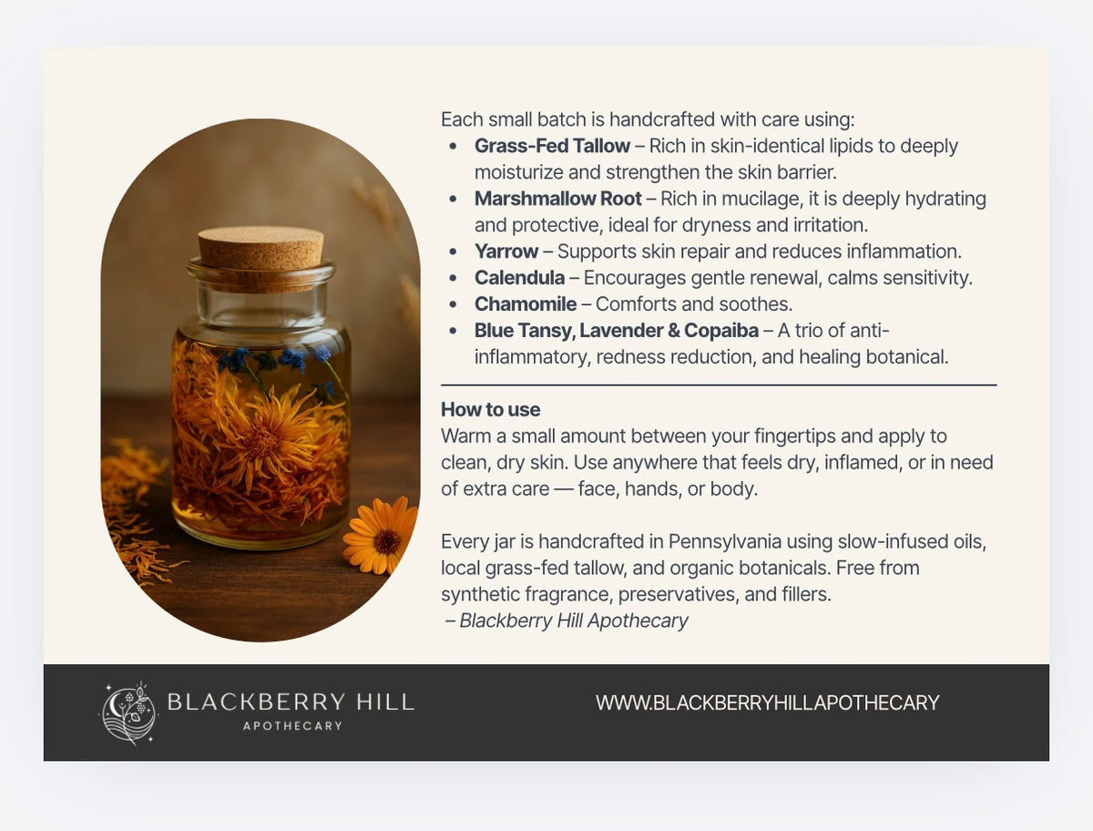 An informational product graphic for a jar of handcrafted herbal ointment from Blackberry Hill Apothecary. The graphic features a beige background with text detailing the ingredients (Grass-Fed Tallow, Marshmallow Root, Calendula, Blue Tansy, Lavender, Copaliba) and usage instructions, alongside a central oval image showing a glass jar filled with golden herbal paste and surrounded by dried botanicals.